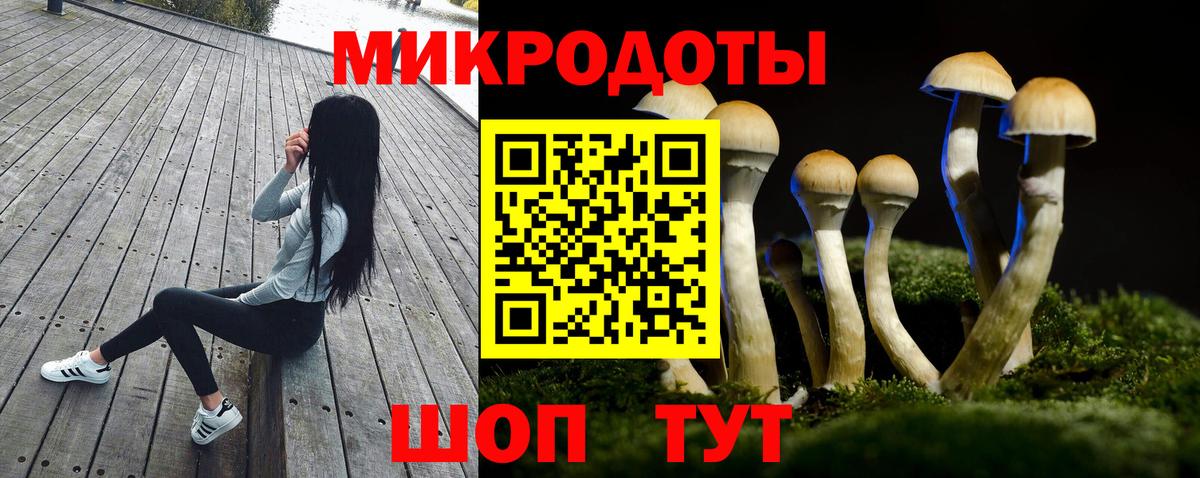 Галлюциногенные грибы Cubensis Сертолово