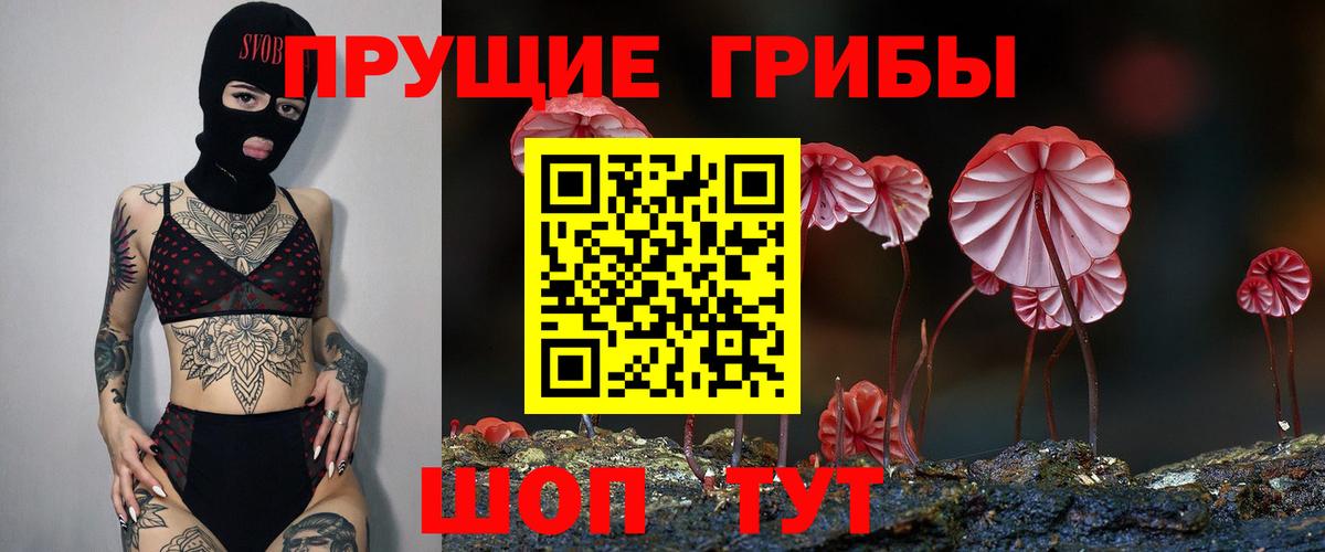 Псилоцибиновые грибы мицелий  Сертолово 