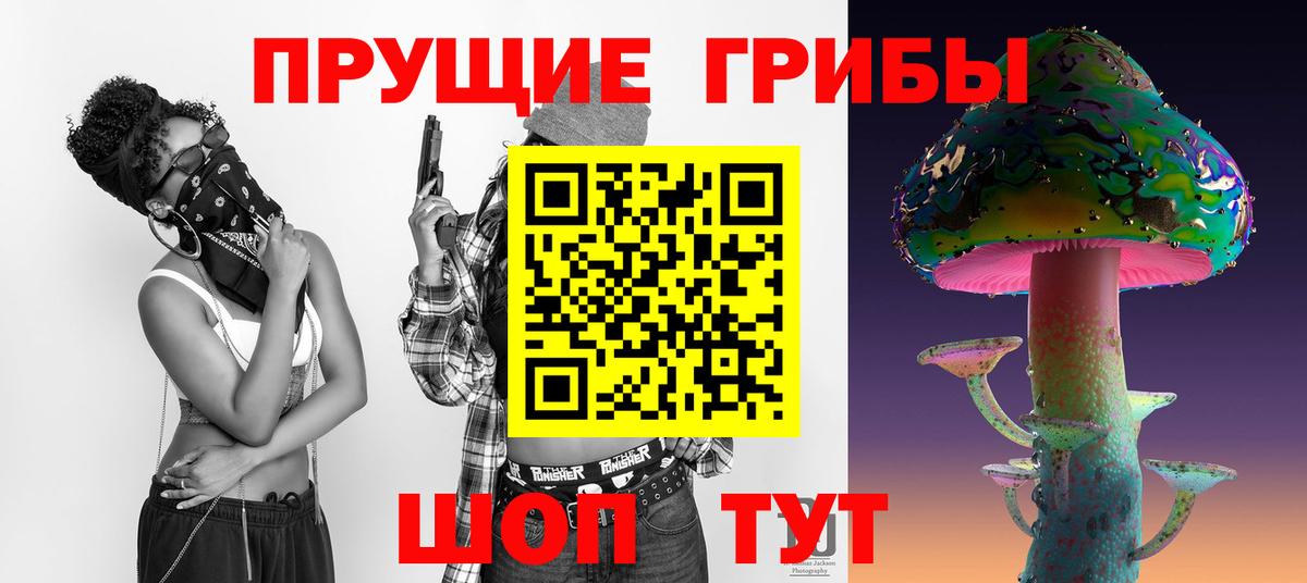 Сертолово  Псилоцибиновые грибы мухоморы  Вход с VPN 