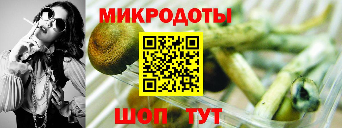 Галлюциногенные грибы мицелий Сертолово