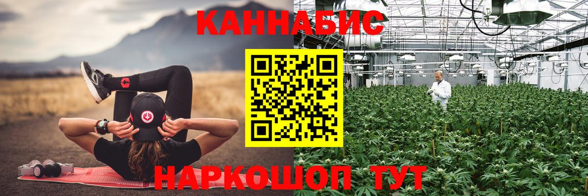 Бошки Шишки марихуана  Бошки Шишки Bruce Banner  Вход с VPN  Каннабис тримм  Сертолово 